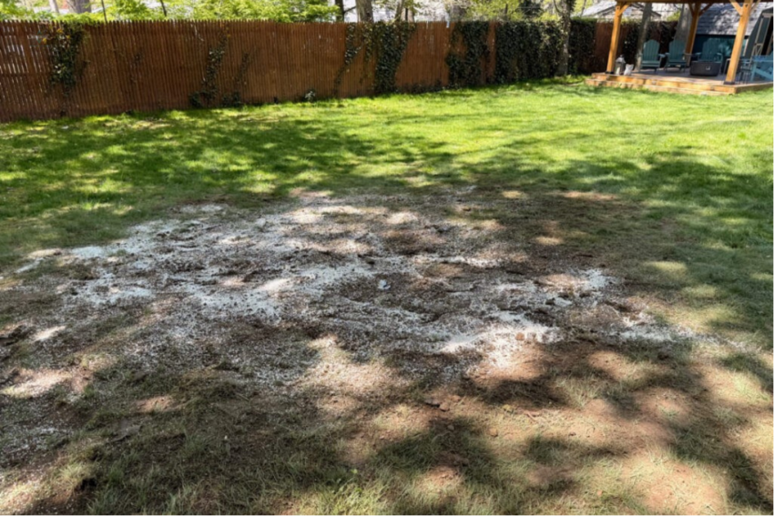 A large soggy, waterlogged, or white-stained patch of grass in a backyard lawn indicating an outdoor plumbing leak.